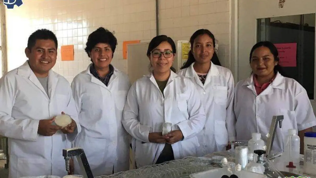 11 Estudiantes del TECNM Instituto Tecnológico de Torreón